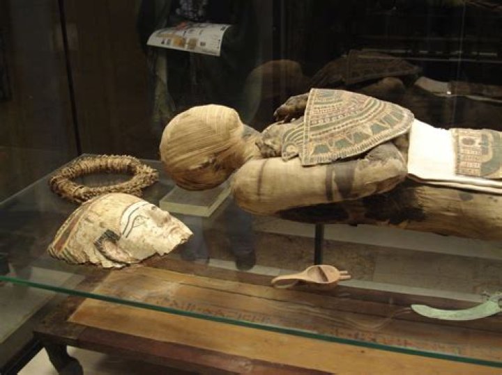 Archaeologists Find Remains of Three Cats Inside 2,500-Year-Old Mummy