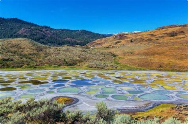 Canada's Spotted Lake Is Seriously Out Of This World