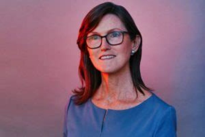 Cathie Wood Net Worth, Husband, Age, Wiki