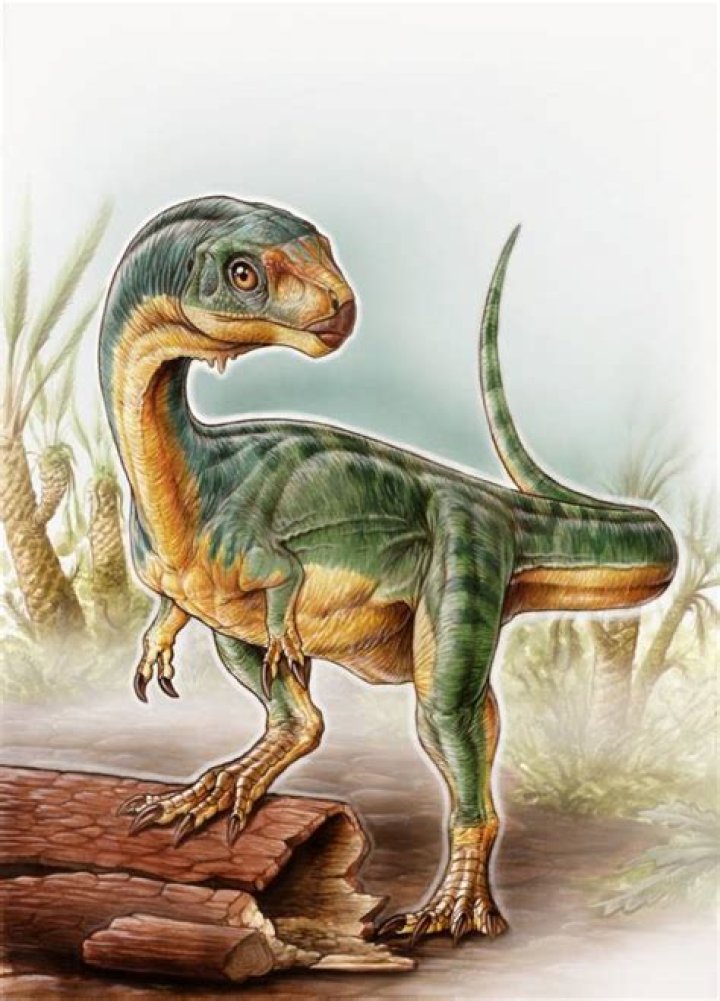 "Frankenstein" Dinosaur Provides Missing Link Between Ancient Species