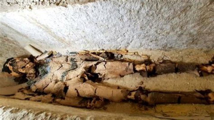 Mummified Llamas Sacrificed By Incas 500 Years Ago Found In Peru