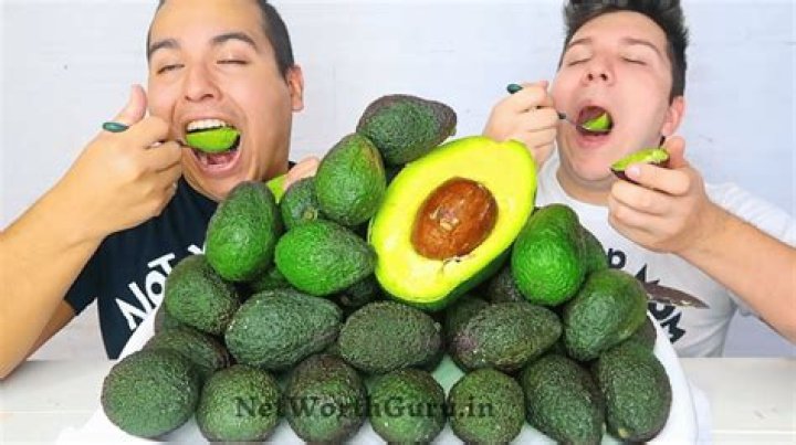 Nikocado Avocado Net Worth and Earnings