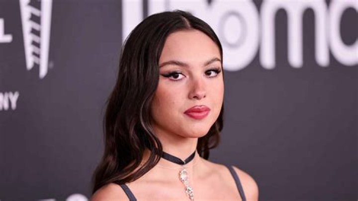 Olivia Somersille Net Worth and Earnings