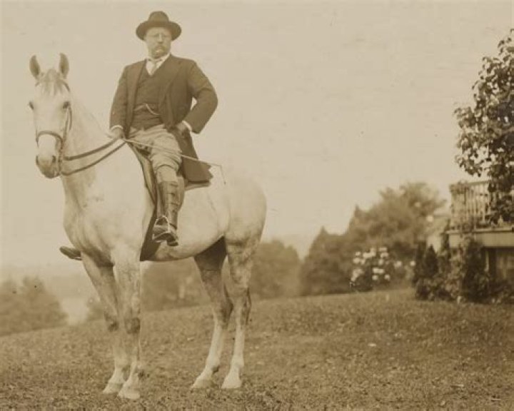 The True Story Behind That Picture Of Teddy Roosevelt Riding A Moose